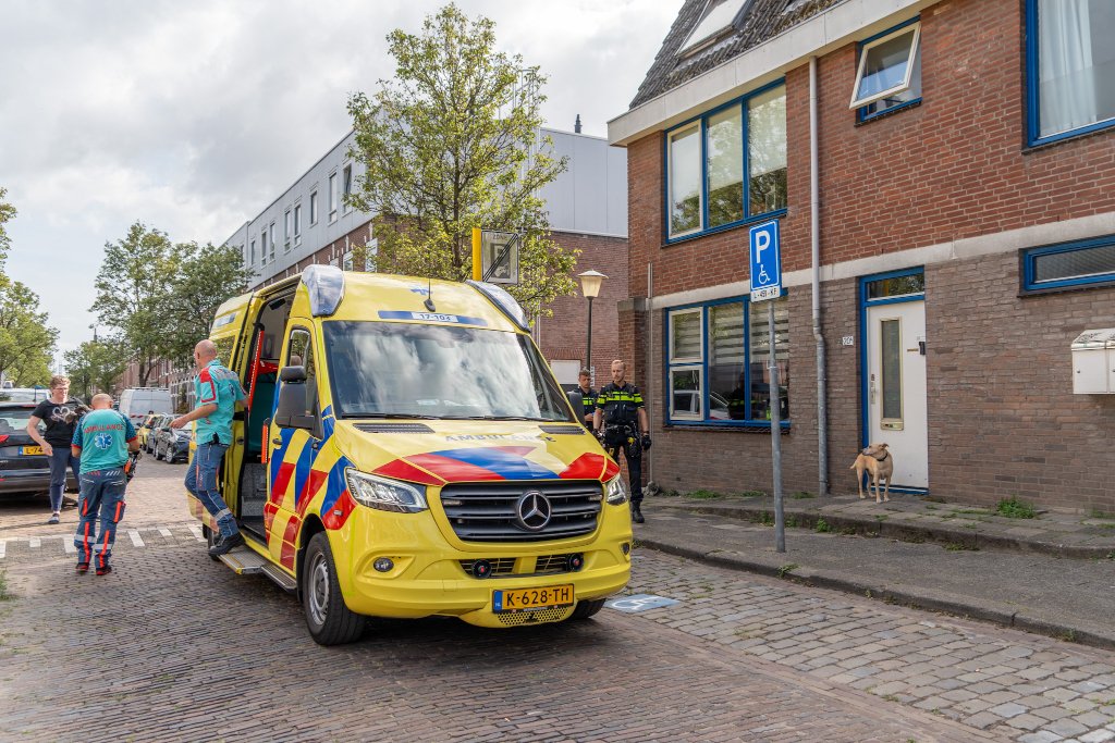 Hond ontsnapt uit tuin en leidt omstanders naar “onwel” baasje